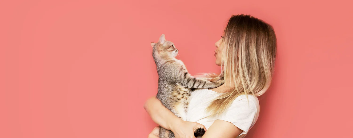 Le confort naturel pour chat